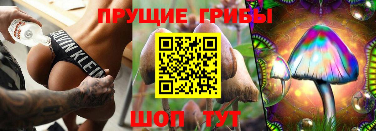 Галлюциногенные грибы Psilocybine cubensis Серпухов